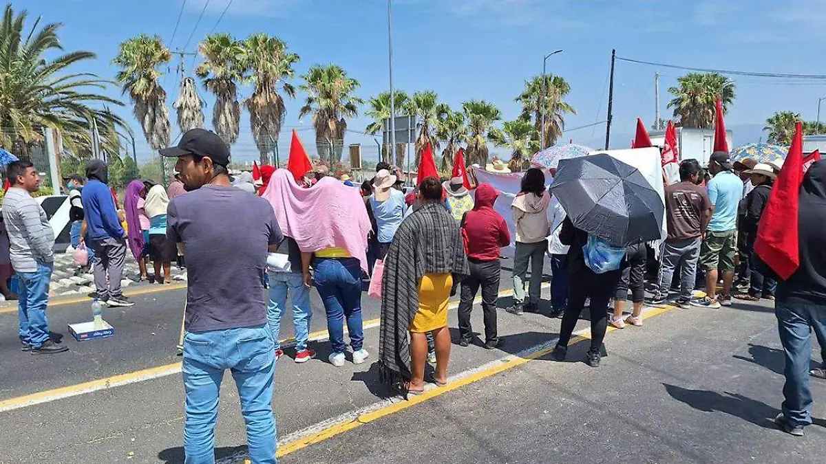 Movimiento de Autogestión Social, Campesino, Indígena Popular